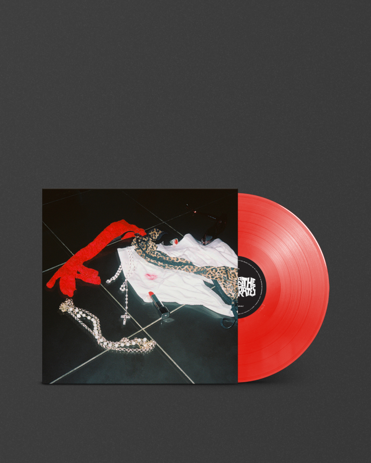 gen-and-the-degenerates-underwear-vinyl-mobile